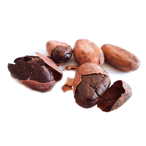 Kakaóbab