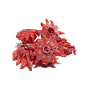 Hibiszkusz