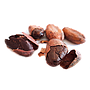 Kakaóbab