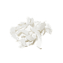 Kókusz chips