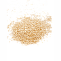 Quinoa